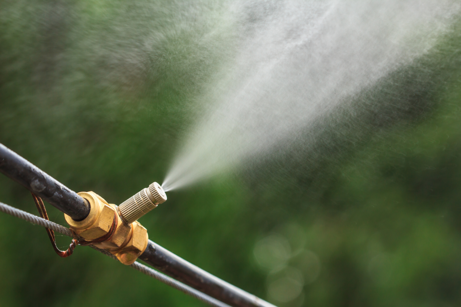 IBS Misting