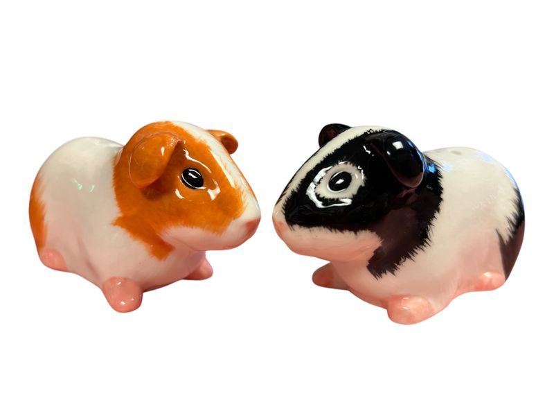 Guinea Pig S&amp;P