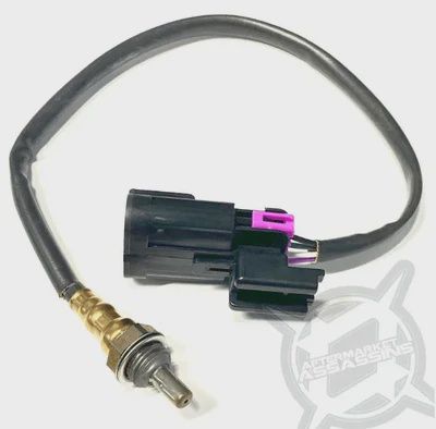 AA Replacement Polaris O2 Sensor - 12mm