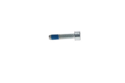 Polaris OEM Screw   OEM 7518347