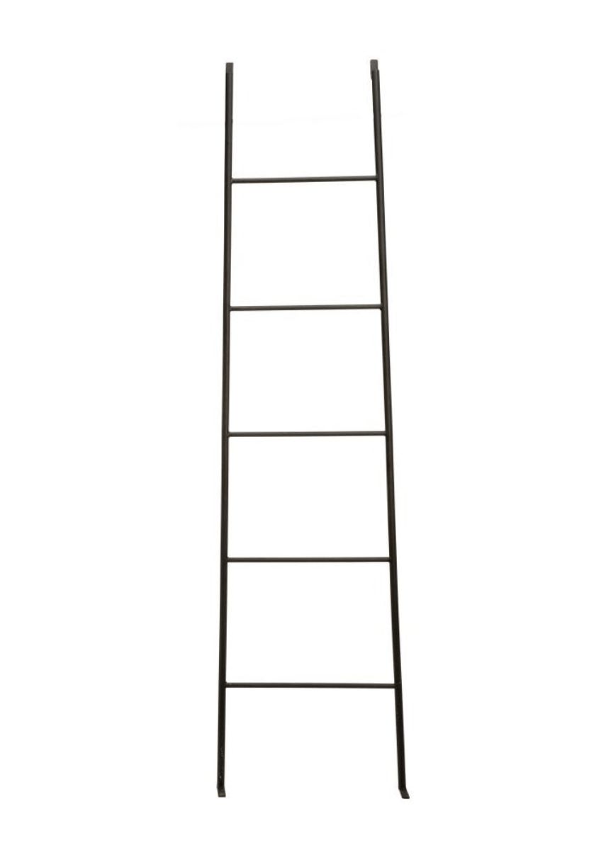 Iron Ladder