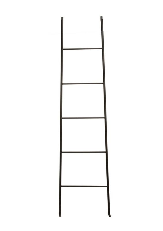 Iron Ladder