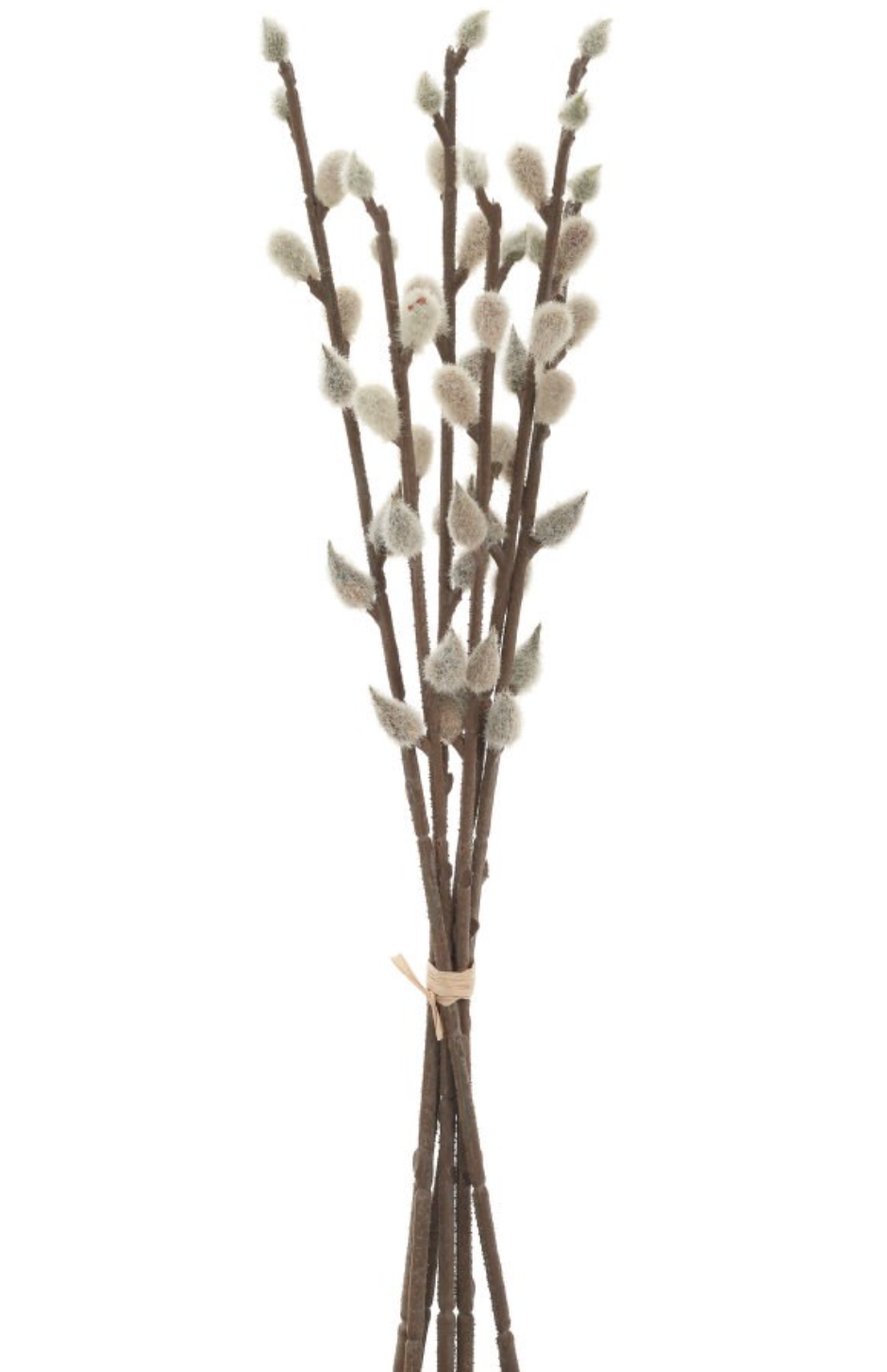 Faux Pussy Willow stem
