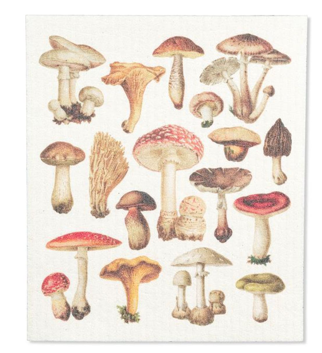 Mushroom dish cloth