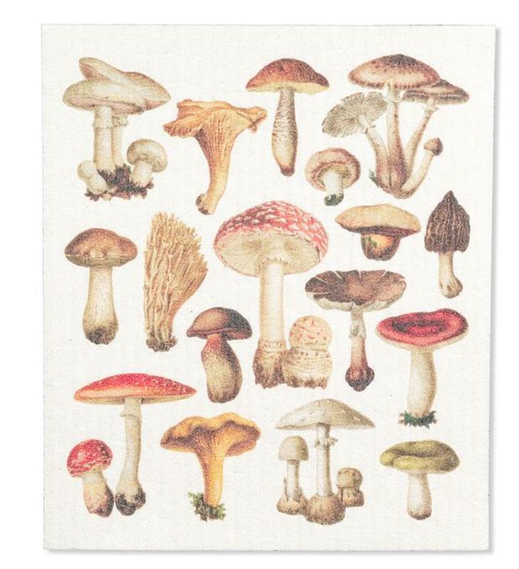 Mushroom dish cloth
