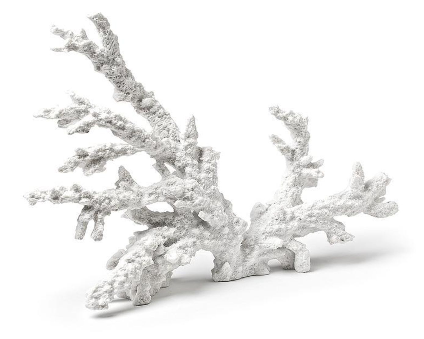 Large Coral Branch