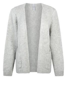 Zoso Knitted cardigan grijs