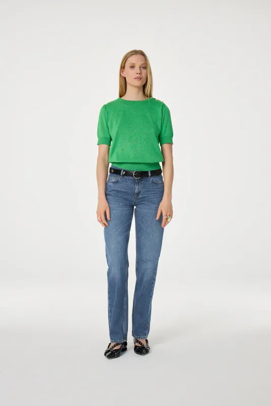 Fabienne Chapot Philou Pullover Groen
