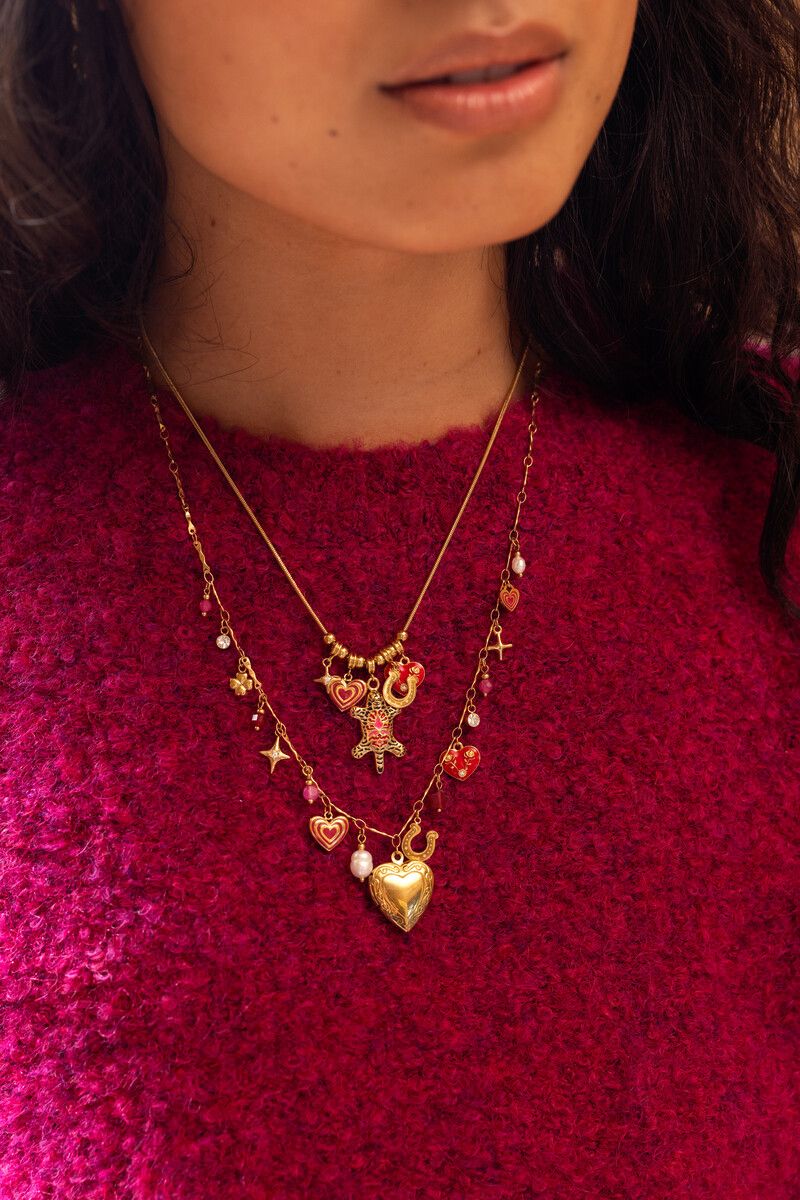 My Jewellery Necklace charms leopard Goud