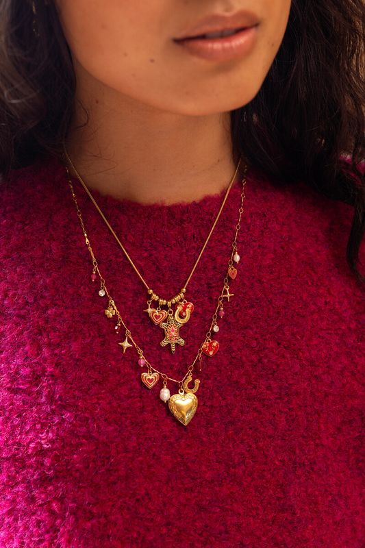 My Jewellery Necklace charms leopard Goud