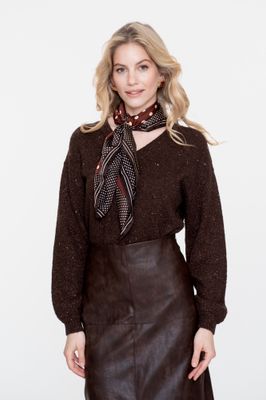 Geisha Pullover lurex and sequinces Bruin