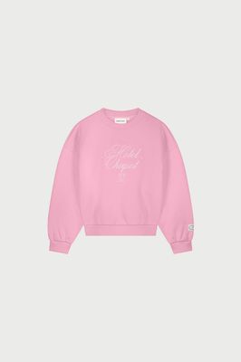 Fabienne Chapot Amy Sweater Roze