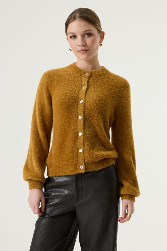 Garcia Vest Geels