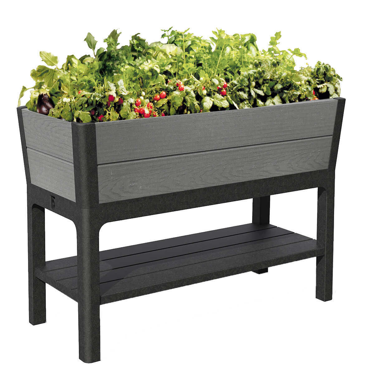 KETER DARWIN ELEVATED GARDEN BED 110L