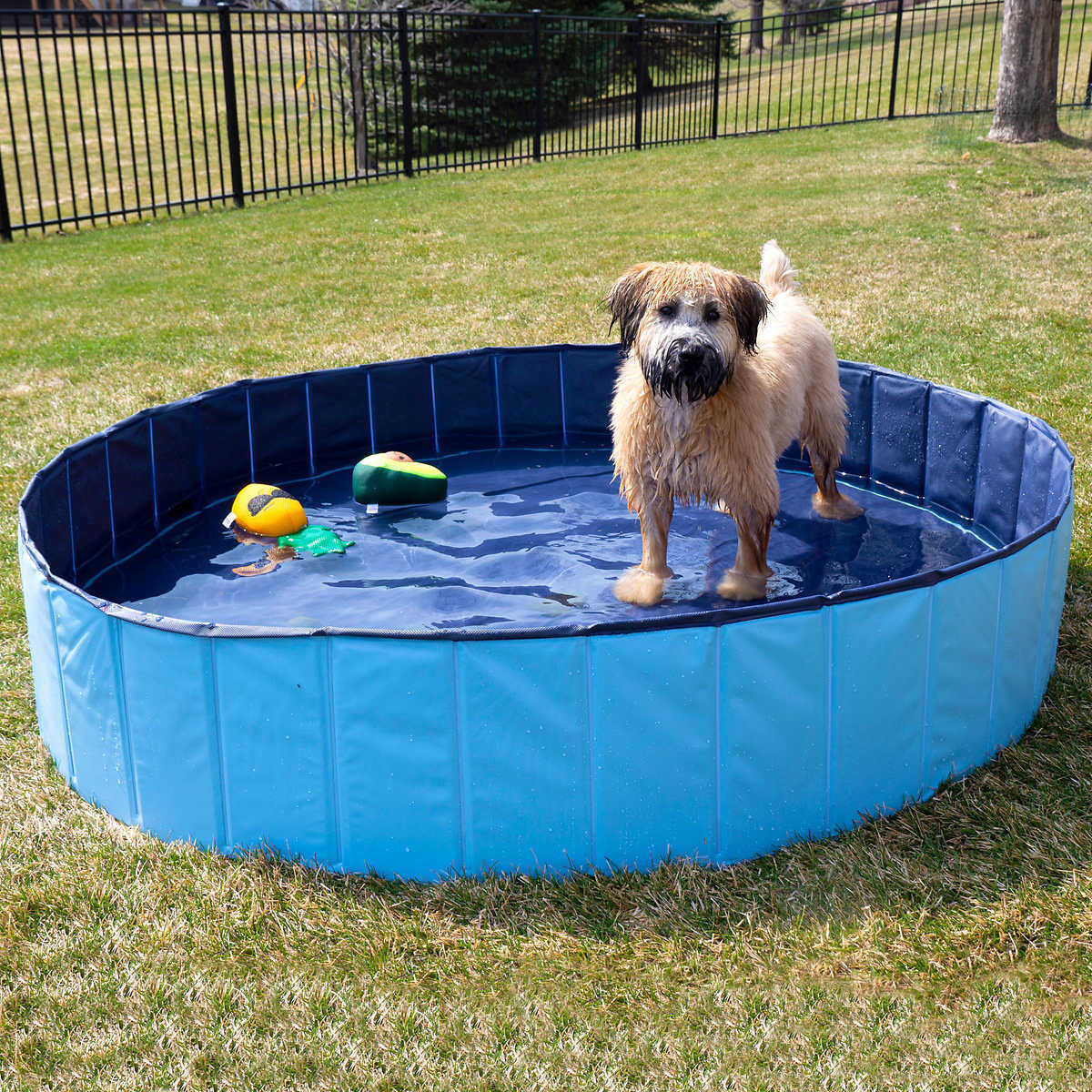 Companion Gear XXL Pet Pool Kit