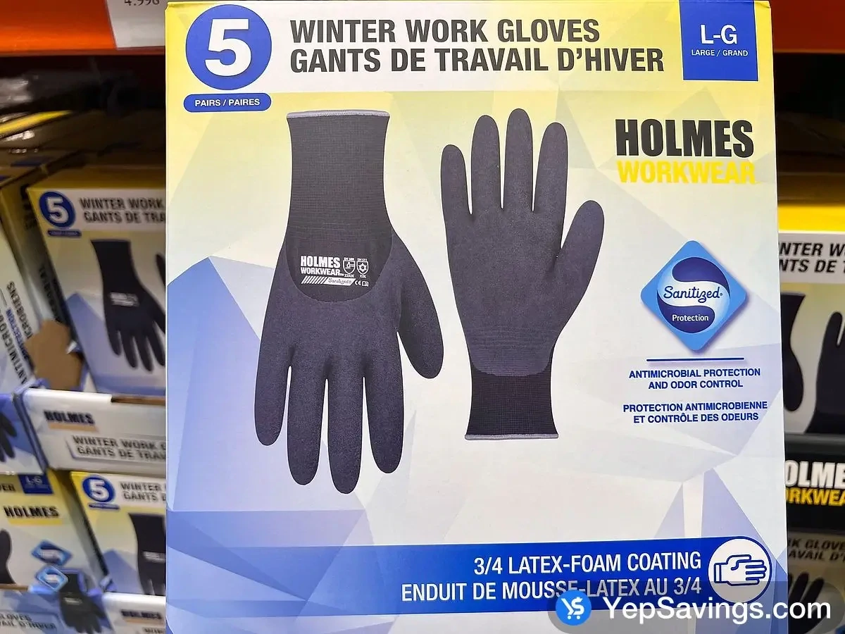 HOLMES LATEX GLOVES 5 PAIRS Glove Size: Large