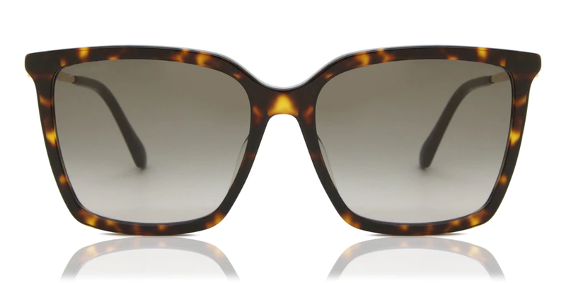 JIMMY CHOO Totta Square Sunglasses - Tortoise  Color	Brown