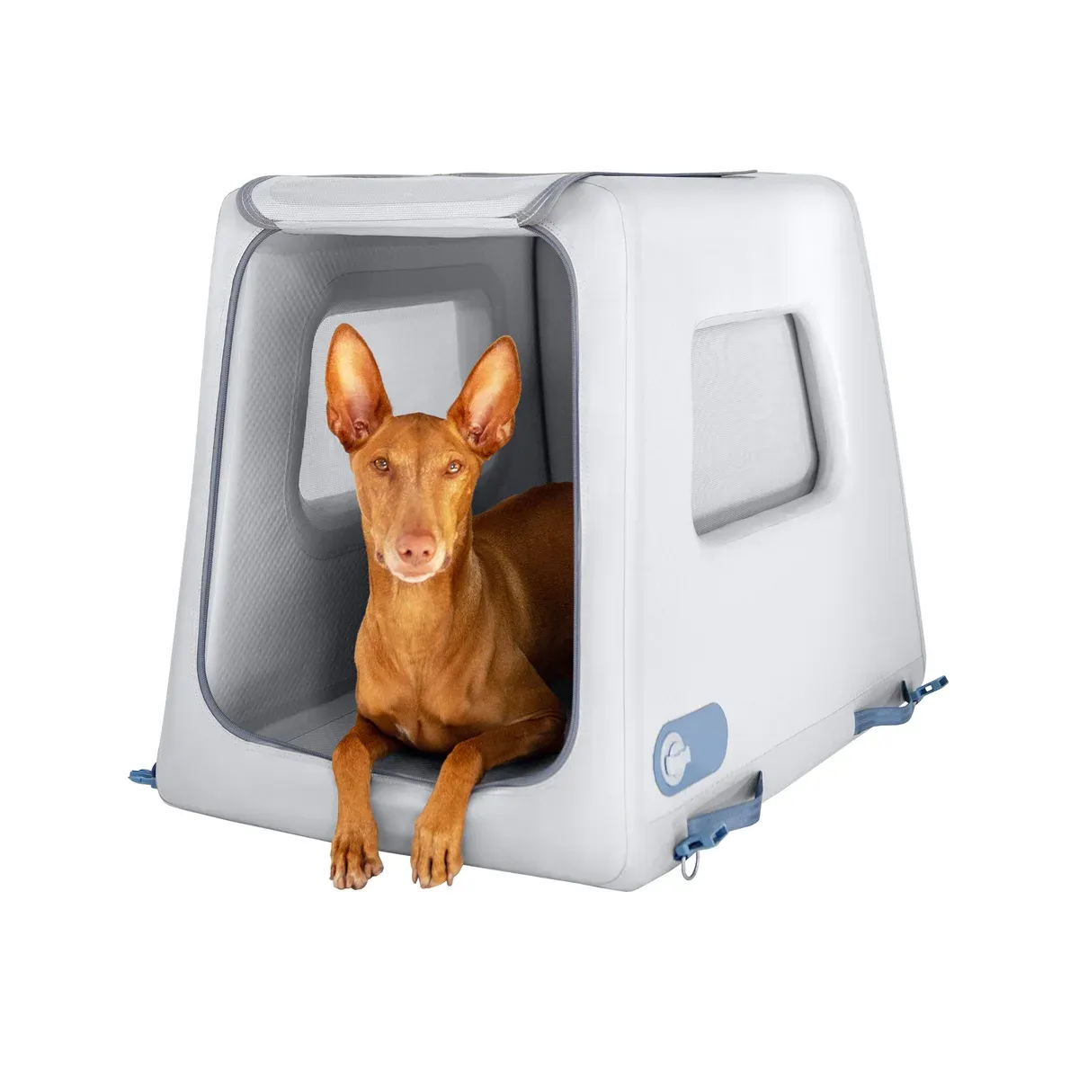 Diggs Enventur Inflatable Travel Dog Kennel Specialty Bundle (M)