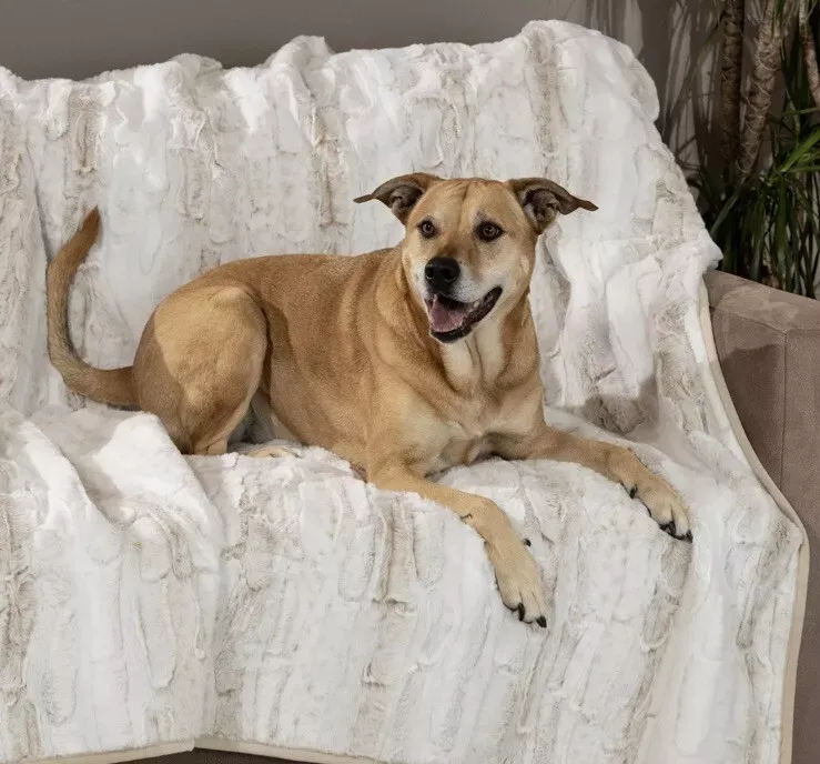 Brentwood Originals Oversized Waterproof Pet Blanket and Furniture Protector Color : Ivory