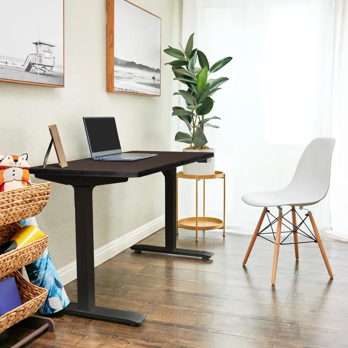 Motionwise 121.92 cm x 60.96 cm (48 in. x 24 in.) Single Motor Height Adjustable Desk Colour : Black
