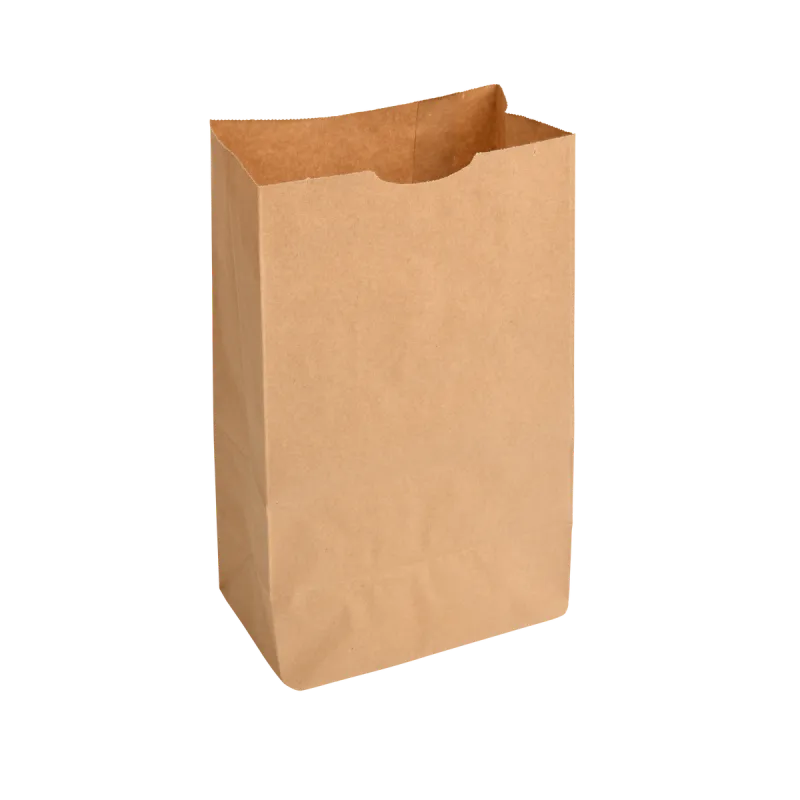 Brown Carry-All Bag Pack Of 500