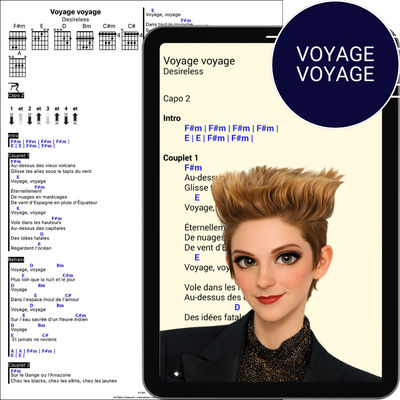 Voyage voyage