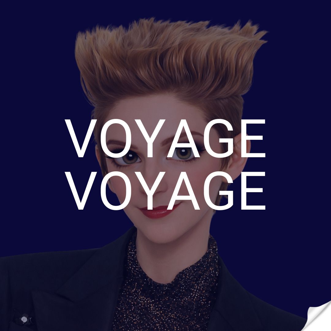 Voyage voyage