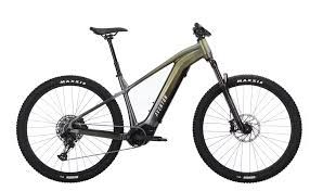 Aventon Ramblas, M- Borealis