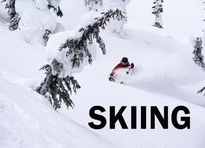 Skis