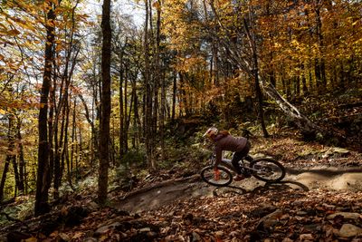 Mountain Bikes