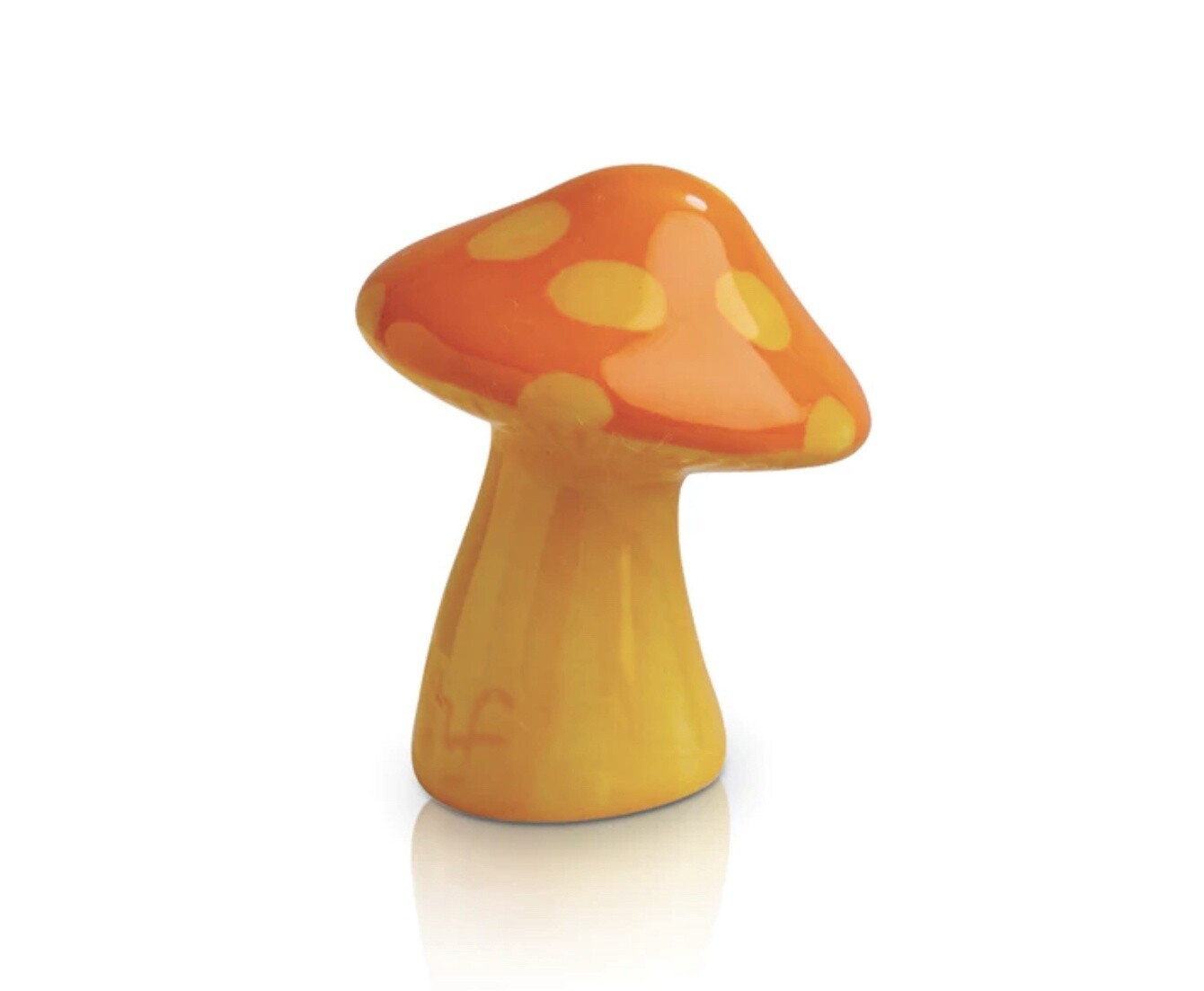 FUNKY FUNGI MINI