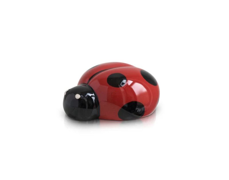 LIL&#39; LADYBUG MINI