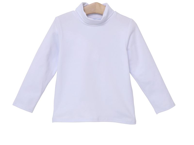 TAYLOR TURTLENECK