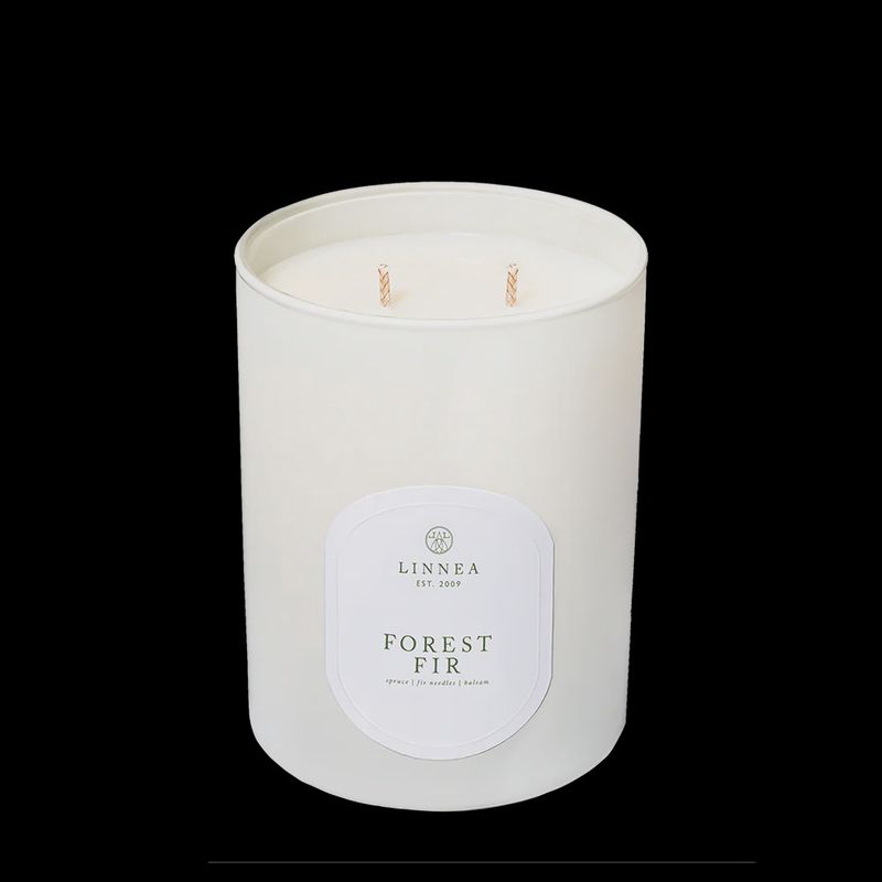 FOREST FIR 2-WICK CANDLE