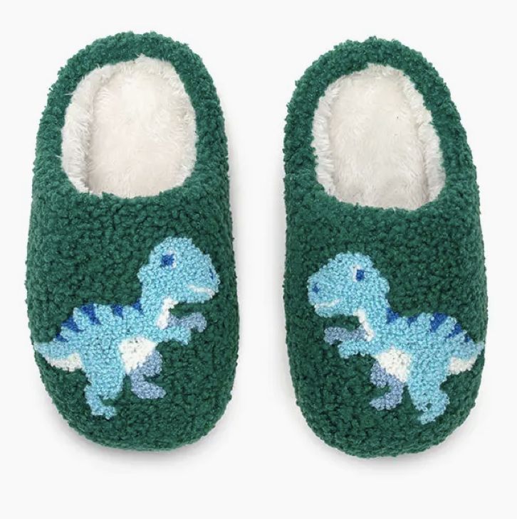 DINO SLIPPERS