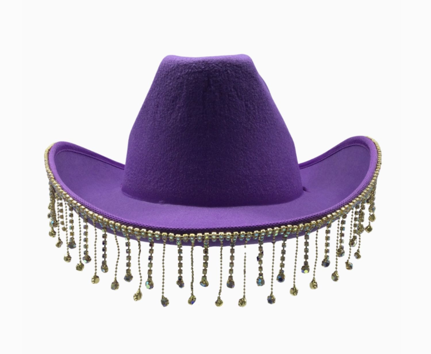 DIAMANTE TASSEL TRIM COWBOY HAT