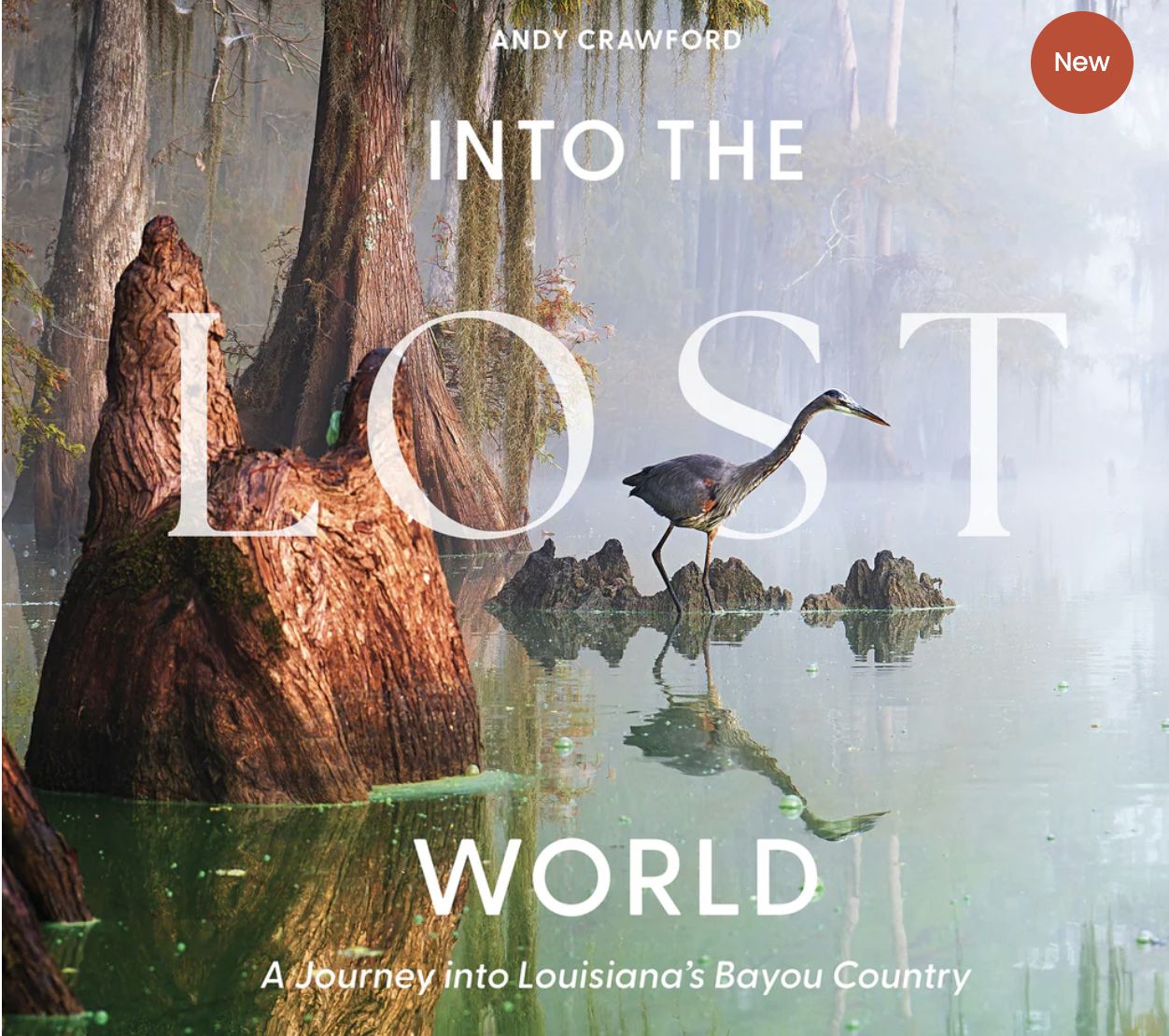 INTO THE LOST WORLD: A JOURNEY INTO LOUISIANA'S BAYOU COUNTRY