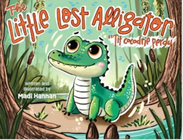 LITTLE LOST ALLIGATOR