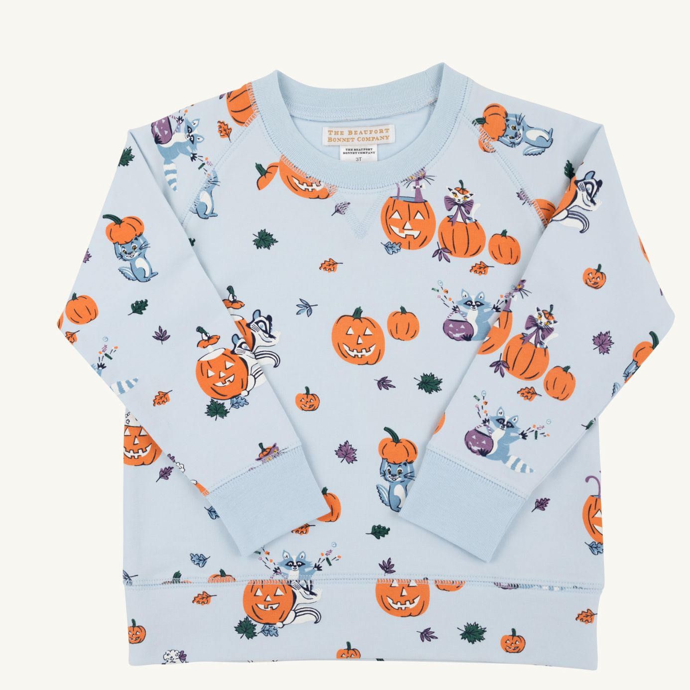 CASSIDY COMFY CREWNECK - CANDY AND CRITTERS - BOY