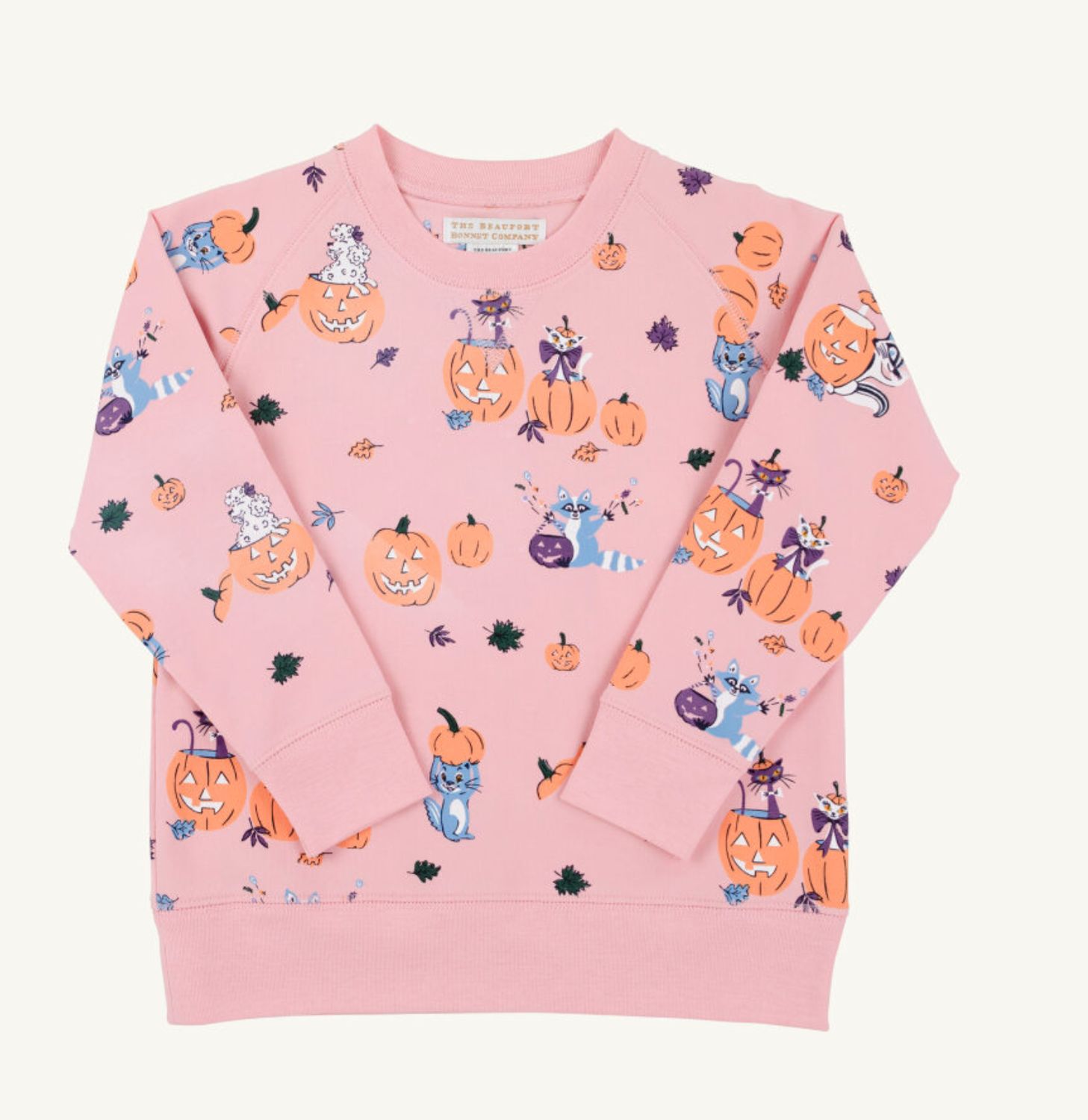 CASSIDY COMFY CREWNECK - CANDY AND CRITTERS - GIRLS