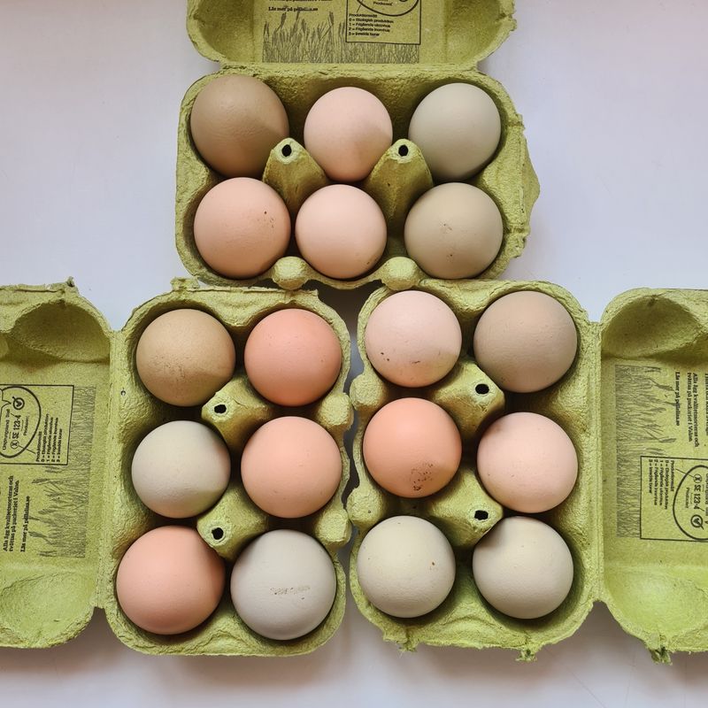 Otvättade ägg