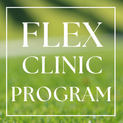 Flex Program