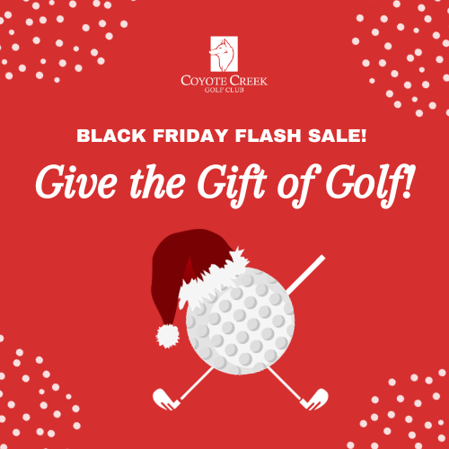 Black Friday Gift Cards