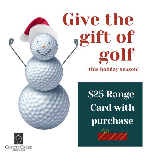 Holiday Gift Cards (Free $25 Range Card)