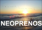Neoprenos