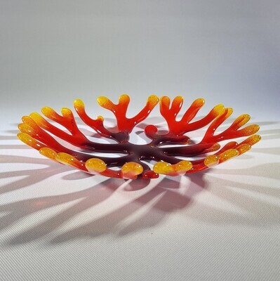 Coral in Warm Colors | Candle Platform