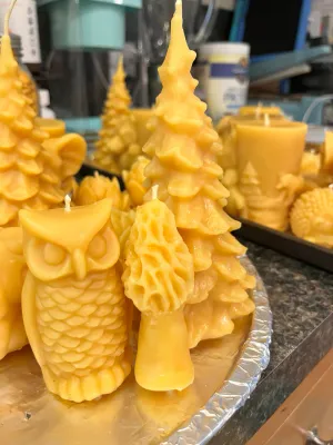 Oregon Beeswax Candles