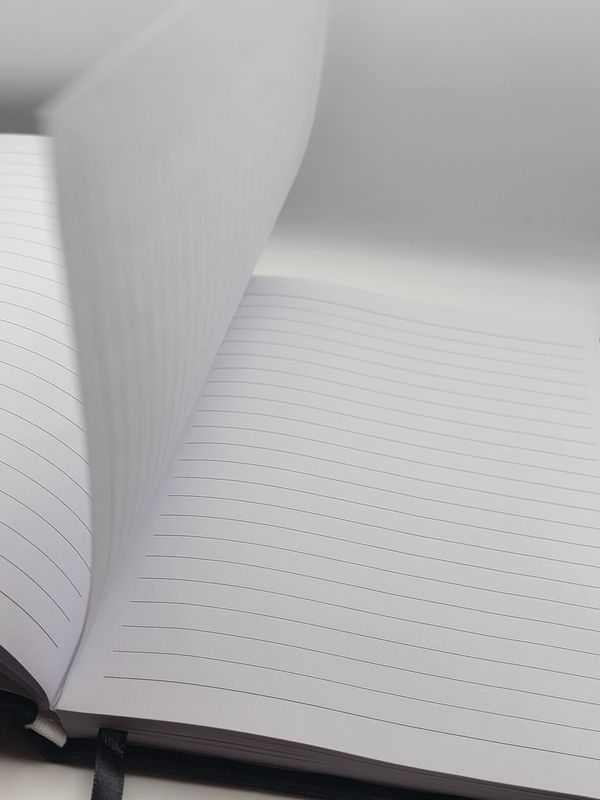 Witchy Velvet Journal