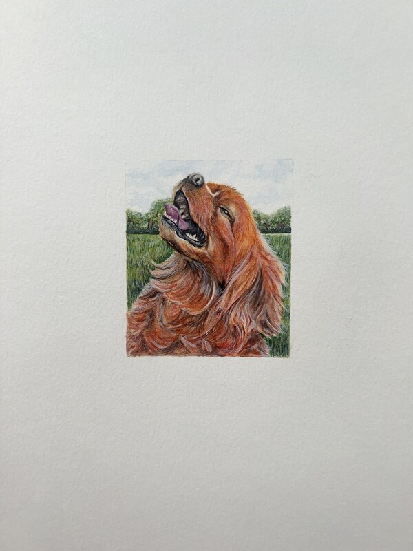 Custom Watercolor Works 2.5&quot; x 3&quot; or 3&quot; x 3&quot;