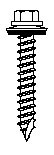 Snowguard Screws